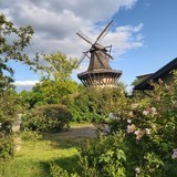 Mühle Schloss Sanssouci